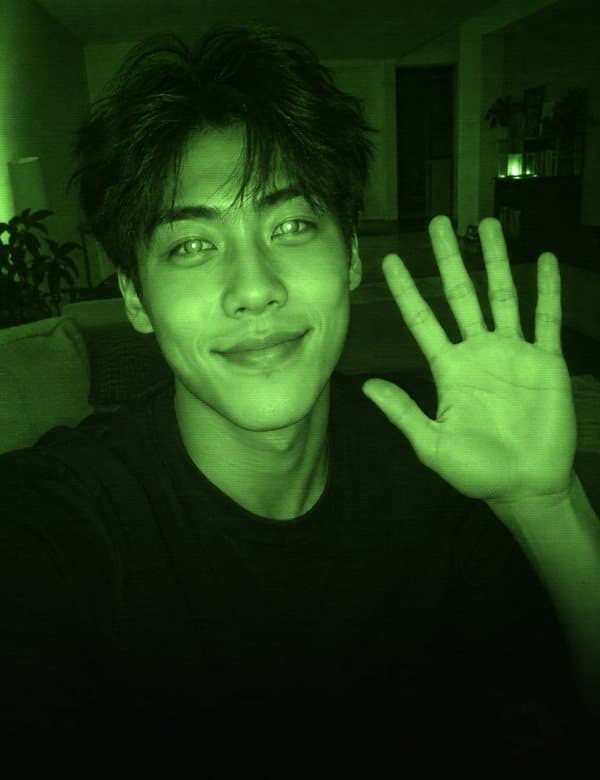 Night Vision effect: The whole camera turns into night vision, CCTV, 8mm film or heat.
